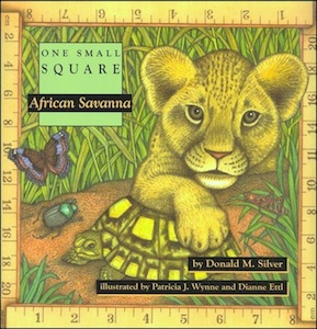 One Small Square - African Savanna